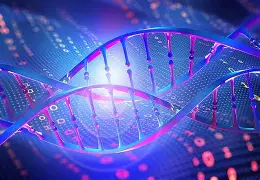 ADN et Décodage Biologique