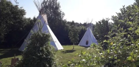 Activités chez Grand Ours Chaman