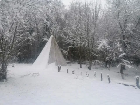 activité chamanique avec grand ours chaman