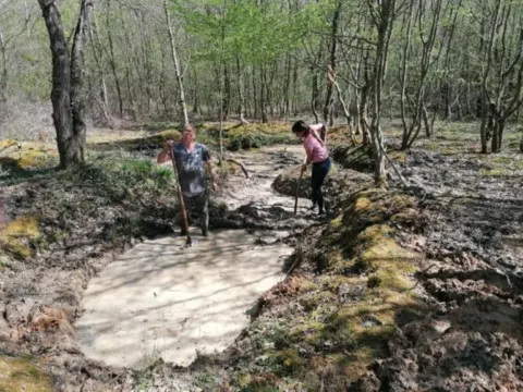 activité chamanique avec grand ours chaman