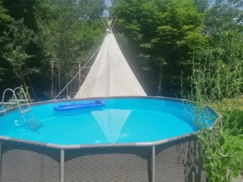 activité chamanique avec grand ours chaman