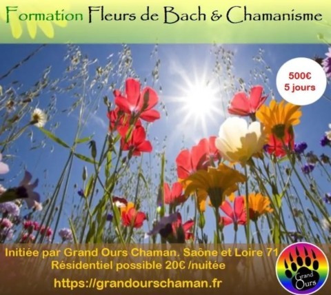 formation fleurs de bach