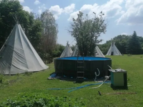 Chez grand ours chaman Cluny