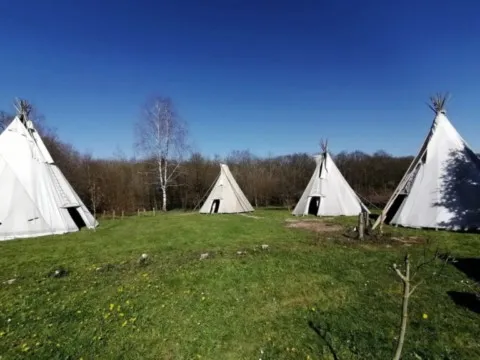 Montage des tipis chez grand ours chaman