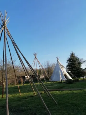 Montage des tipis chez grand ours chaman