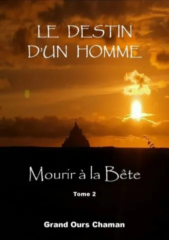 Livre Le Destin d'un Homme Tome 2