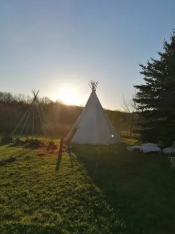 Montage des tipis chez grand ours chaman