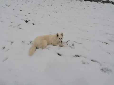 Activités chez Grand Ours Chaman
