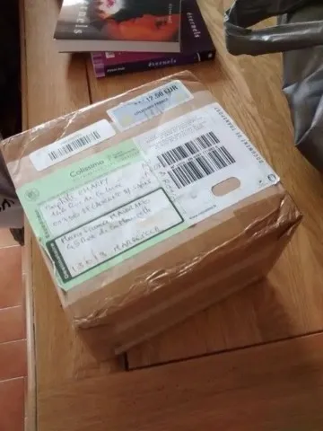 Livre chamanique grand ours chaman