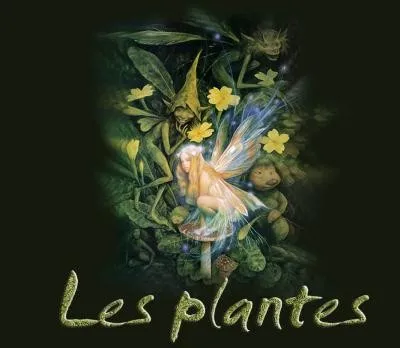 Magie des Plantes