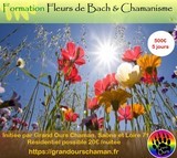 formation fleurs de Bach et chamanisme